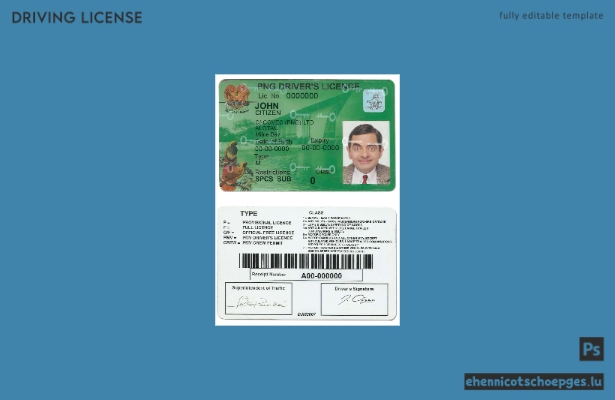 Führerschein Papua-Neuguinea 2020 – heute: Beispielvorschau